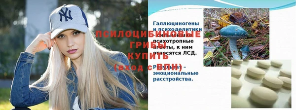 стаф Белокуриха