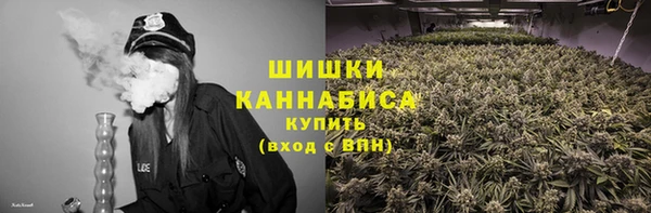 ПСИЛОЦИБИНОВЫЕ ГРИБЫ Богородск