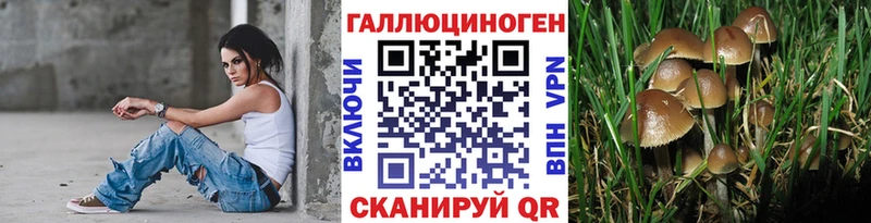 наркотики  Богородицк  Псилоцибиновые грибы Cubensis 
