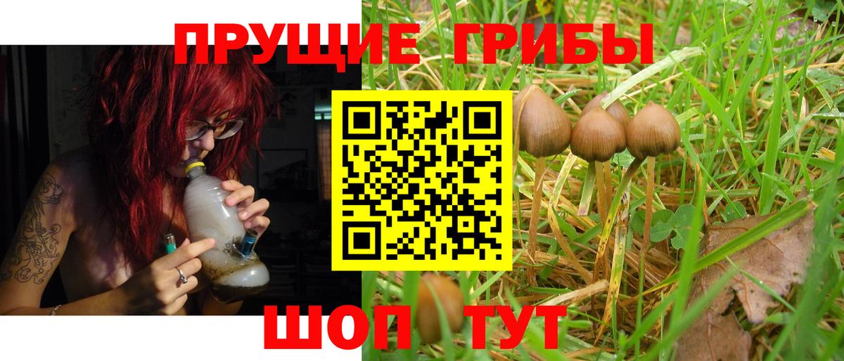 Галлюциногенные грибы Psilocybine cubensis  Вход с VPN  Богородицк  где купить наркоту  Галлюциногенные грибы Psilocybine cubensis 