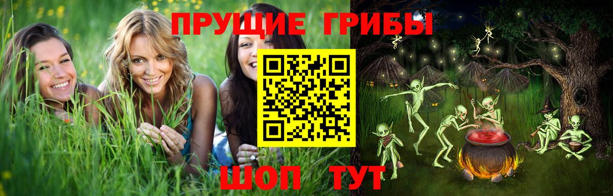Галлюциногенные грибы Psilocybe Богородицк